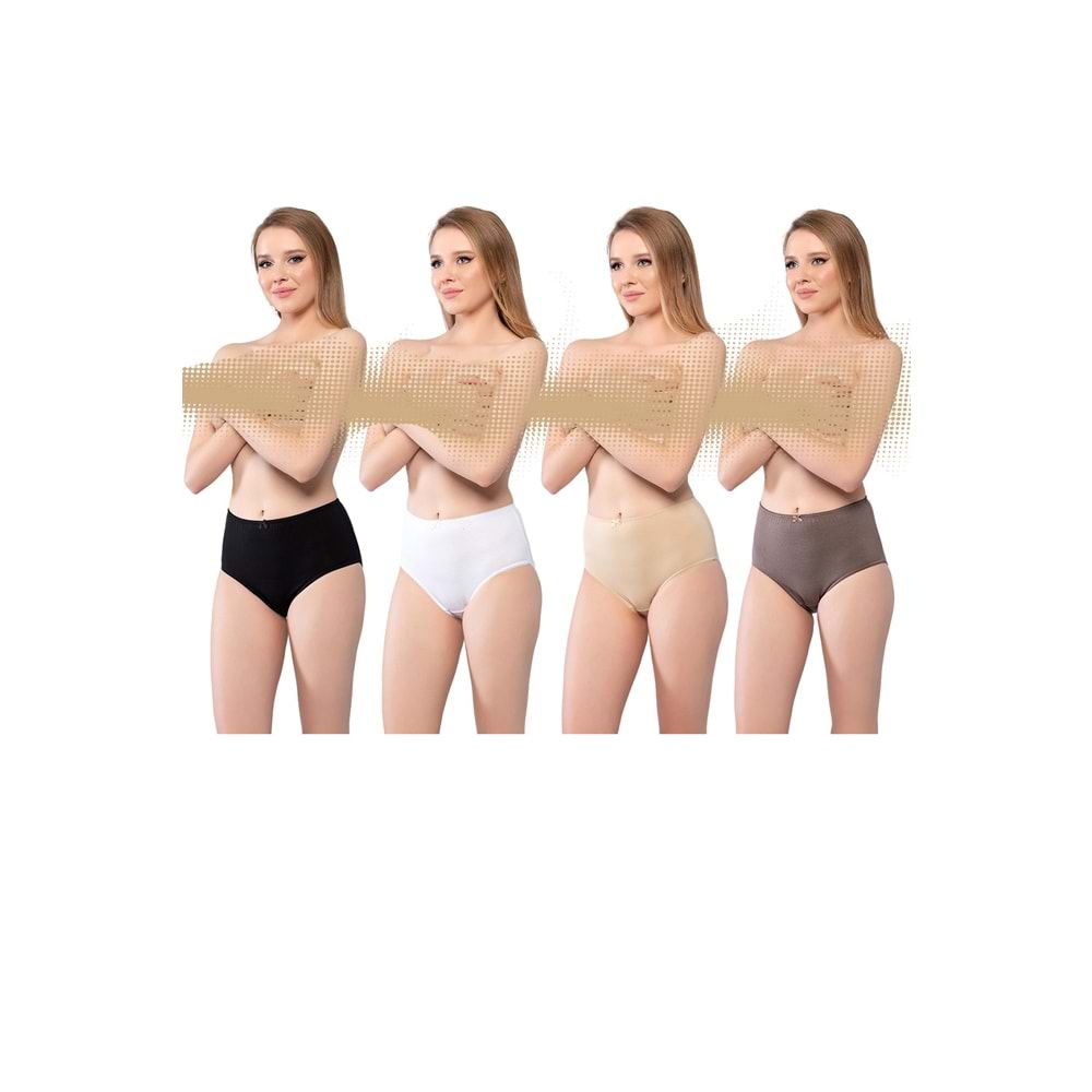 Belinay 3034 Kadın Yüksek Bel SiyahBeyazTenVizon 4lü Paket Külot XXL