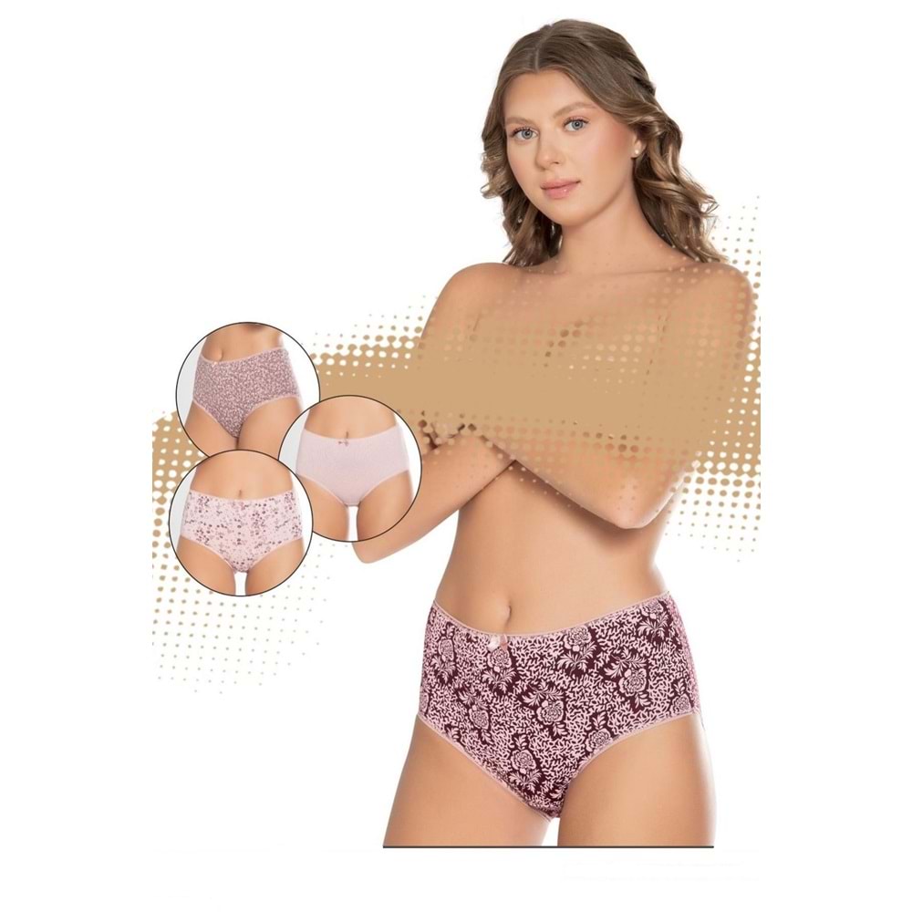 Belinay 3511 Kadın Yüksek Bel Bato Külot 4lü Paket Desenli XXL