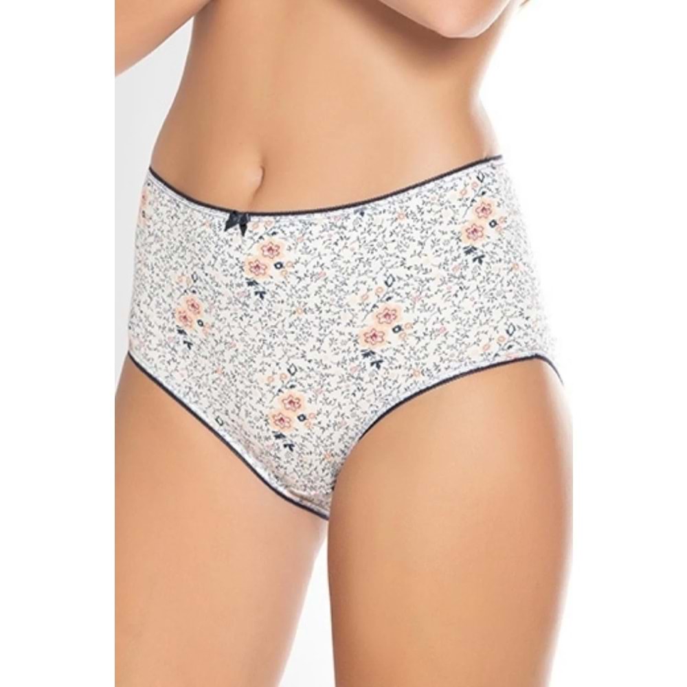 Belinay 3512 Kadın Yüksek Bel Bato Külot 4lü Paket Desenli XXL
