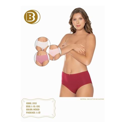 Belinay 3513 Kadın Yüksek Bel Bato Külot 4lü Paket