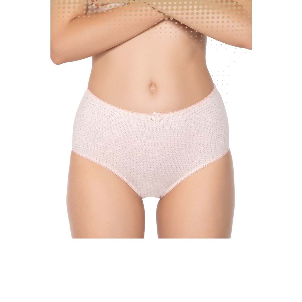 Belinay 3509 Kadın Yüksek Bel Bato Külot 4lü Paket Desenli L