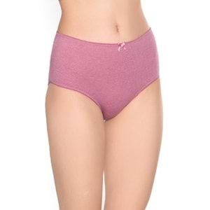 Belinay 3516 Kadın Yüksek Bel Bato Külot 4lü Paket Desenli XL