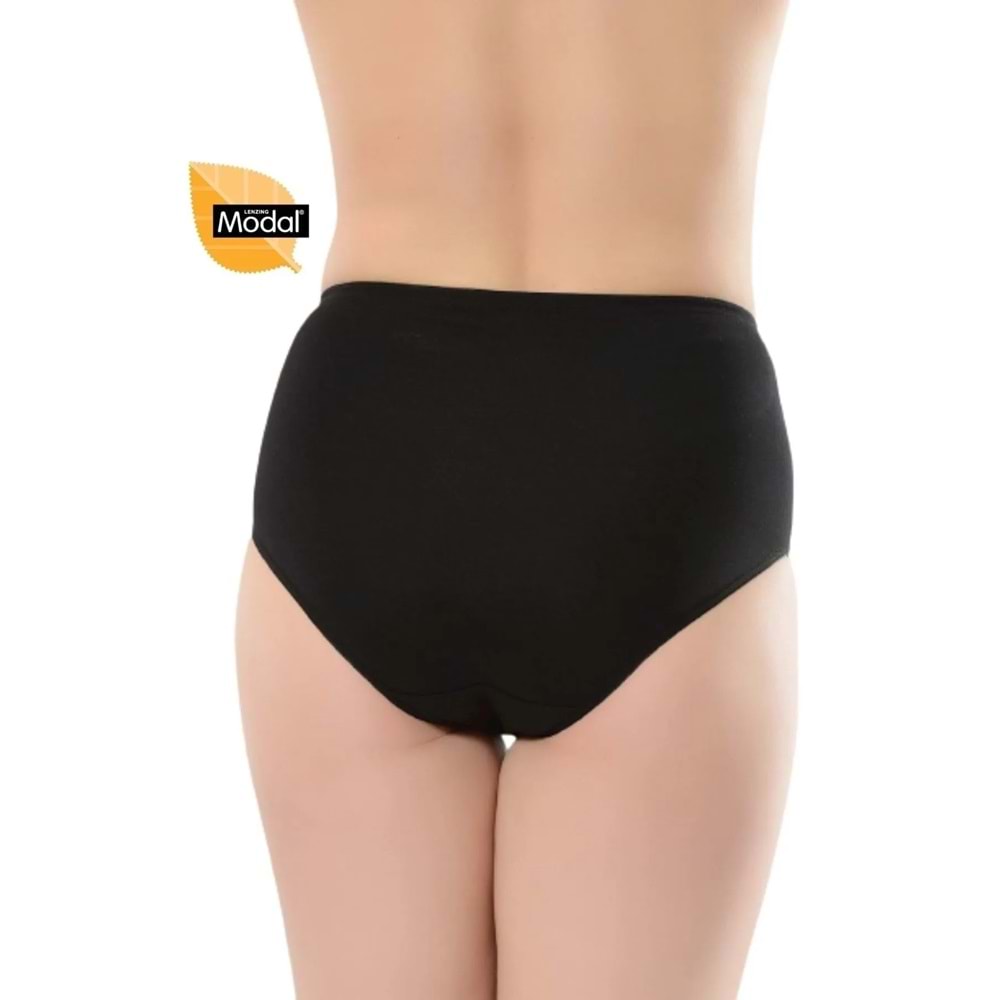 Belinay 4 Adet 069 Kadın Yüksek Bel Modal Külot Ten 3