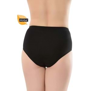 Belinay 4 Adet 069 Kadın Yüksek Bel Modal Külot Ten 3
